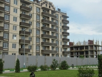 Продажа 1-2 к.кв. в ЖК " Спортивный" по цене от 1150т.р. Застройщик. - Изображение #3, Объявление #245106