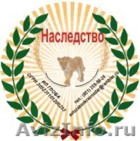 Уважаемые наследники - Изображение #2, Объявление #780762