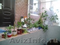 Кирпичный дом, новый  - Изображение #4, Объявление #932220