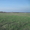 Земельный участок сельхозназначения,40га, в 38км от Краснодара  - Изображение #8, Объявление #242289