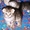 Элитные британские котята оокрас ВИСКАС из питомника - Изображение #4, Объявление #285580