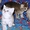 Элитные британские котята оокрас ВИСКАС из питомника - Изображение #5, Объявление #285580