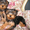 Выставочные щенки йоркширского терьра - Изображение #1, Объявление #329571