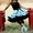 Потрясающие нарядные пышные юбки пачки "американки" пэттискерт (Pettiskert). oop - Изображение #5, Объявление #314656