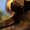  Щеночки лабрадора - Изображение #3, Объявление #353520