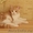 Британские  кошечки тэбби окраса  из питомника  Muar*RU - Изображение #4, Объявление #262613