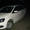 Сдаю VW Polo седан 2011 г. - Изображение #3, Объявление #400829