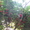 Дача в Карасунском округе 4 с, летний домик 3х4 - Изображение #2, Объявление #401142