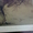 Альбом репродукций картин династии Сун (960-1279гг.).Выпуск четвертый. - Изображение #7, Объявление #443477