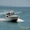 Продажа моторной яхты Ferretti 460 - Изображение #1, Объявление #427899