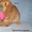 Карликовый вислоухий крольчонок - Изображение #1, Объявление #443807