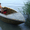 Моторная лодка Касатка 4.80 - Изображение #3, Объявление #582920