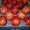 Предлагаем  яблоки, груши из Аргентины  - Изображение #8, Объявление #630595