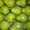 Предлагаем  яблоки, груши из Аргентины  - Изображение #6, Объявление #630595