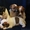 Щенки Джек Рассел Терьера из фильма МАСКА от чемпиона России - Изображение #2, Объявление #677533