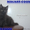 Котята Гиганты породы Мейн Кун - Изображение #3, Объявление #921390