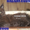 Котята Гиганты породы Мейн Кун - Изображение #2, Объявление #921390
