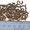 Семена аморфы ( декоративный кустарник, прекрасный медонос) - Изображение #2, Объявление #1015537