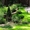 Посевной газон в краснодаре. Уход за садом и газоном - Изображение #2, Объявление #1057370