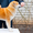 Высокопородный, перспективный щенок акита ину  - Изображение #2, Объявление #1074306