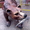 Скульптура металлическая"Медведь" - Изображение #1, Объявление #967054
