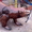 Скульптура металлическая"Медведь" - Изображение #2, Объявление #967054