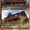 Деревянное домостроение в Крыму - Изображение #2, Объявление #1203790
