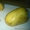 Картофель в Тамбовской области #1303883