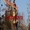 Спил деревьев на Кладбище Краснодар  Альпинист Мы профи в своем деле.  - Изображение #1, Объявление #1356977