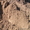 Плодородный Чернозем, Грунт, Земля, Глина, Суглинок с доставкой - Изображение #3, Объявление #1375185