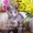 Holly Sheer Love - русский голубой котенок от Чемпиона Мира WCF в Краснодаре