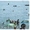 У  моря  в  Геленджике сдаю  уютный  домик   с беседкой и виноградом   - Изображение #1, Объявление #231901