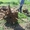Спил деревьев Краснодар 8938-478-58-11  - Изображение #6, Объявление #1157403