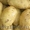  Семенной картофель из Беларуси #1599951