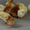 Цыплята, индюшата, цесарята, утята, гусята, муларды - Изображение #3, Объявление #1602753
