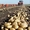 Продаем картофель оптом Краснодарский край.урожай 2019 #1658392