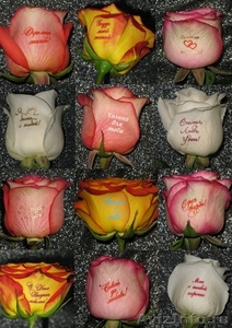 Шелкографические наклейки на цветы - Изображение #1, Объявление #98923