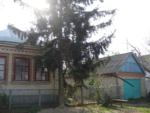 Срочно продам дом в 60 км. от Черного моря - Изображение #1, Объявление #113767