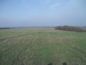 Земельный участок сельхозназначения,40га, в 38км от Краснодара  - Изображение #2, Объявление #242289