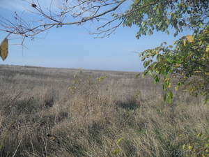 Земельный участок сельхозназначения,40га, в 38км от Краснодара  - Изображение #4, Объявление #242289