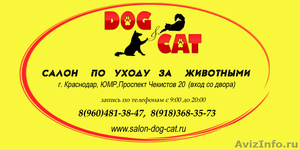 Cтрижка собак и кошек - Изображение #1, Объявление #286692