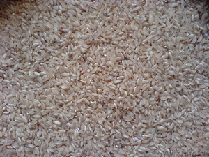 Элитная рисовая крупа функционального назначения - Изображение #3, Объявление #304988