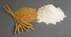 Мука пшеничная хлебопекарная  - Изображение #1, Объявление #395657