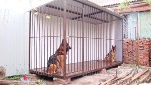 Вольеры, клетки для содержания собак, животных - Изображение #4, Объявление #408478