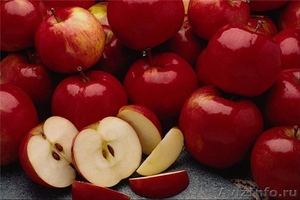 Продам Молдавское яблоко 31 руб. кг. - Изображение #1, Объявление #536509