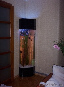 Акриловые емкости под аквариумы, пузырьковые колонны и ширмы - Изображение #2, Объявление #539527