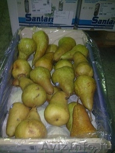 Предлагаем  яблоки, груши из Аргентины  - Изображение #4, Объявление #630595