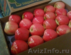 Предлагаем  яблоки, груши из Аргентины  - Изображение #9, Объявление #630595