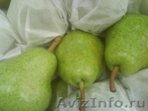 Предлагаем  яблоки, груши из Аргентины  - Изображение #5, Объявление #630595