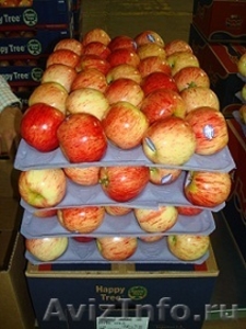 Предлагаем  яблоки, груши из Аргентины  - Изображение #10, Объявление #630595